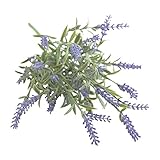 COVENT GARDEN コモンラベンダーブッシュ LD-12