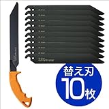 ハイスパイマン＋替刃10枚セット
