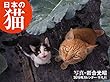 2019年カレンダー 日本の猫 ([カレンダー])
