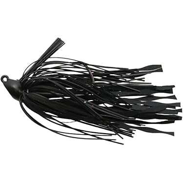 Amazon.co.jp 最新リリース: ラバージグ・チャターベイト の新着