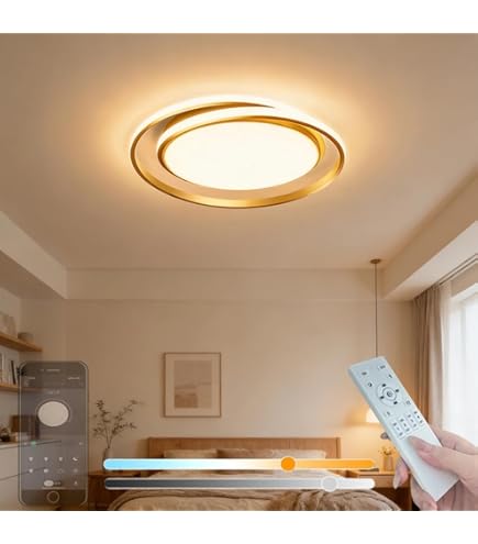 Amazon.co.jp : INVITOP LED シーリングライト ~14畳 無段階調光調色