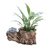 OUNONA 植物ポット　かわいいレジンブッダ モンクガーデンポット　サボテン 多肉植物ポット ホームデコレーションのDIYポット