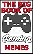 The Big Book Of Gaming Memes (English Edition)
