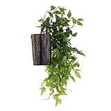 Baoblade Baoblaze 木製の人工的な多肉植物の切り株リビングルームの壁の装飾 - 11