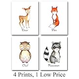 ウッドランド動物 – セットの4つの写真（8 x 10）Unframed