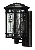 Hinkley 2240RB Outdoor Tahoe Light [並行輸入品]