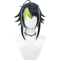 Amazon.co.jp: コスプレウィッグ 叢雲カゲツ 耐熱 文化祭 小物