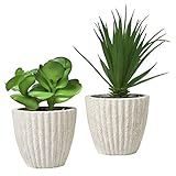 Set of 2 Small人工グリーンSucculent Plants inリサイクルパルプ成形プランターポット