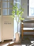観葉植物 大型 フェイク 造花 ♪【グリーンパーク】皿付スリムプランター H36×ラグナファーン＜タイプ：ウッドチップ＞♪ インテリアグリーン アーティフィシャル