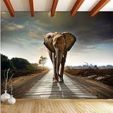 bzdhwwhモダンフォト壁紙立体3d Poqiangの抽象画レストランテレビ背景壁ペーパーElephant 6989548199572