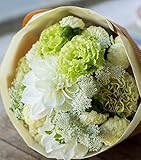花束 生花 ギフト LLサイズ （ ホワイト グリーン 系 ） 大臣賞受賞 デザイナー お任せ花束
