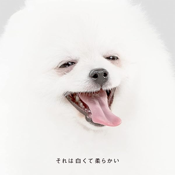 Amazon Music 森山直太朗のそれは白くて柔らかい Amazon Co Jp