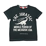 【SiShuNon/FARM】ジュラシックTシャツ ファーム キッズ ジュラシック 恐竜 ブラキオサウルス 半袖Tシャツ 110 2 ブラック