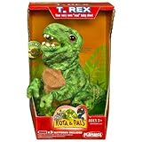 Playskool Kota and Pals Hatchling T - Rex by Playskool [並行輸入品]