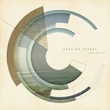 �A���C�W���O�E�V���O�X