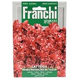 野菜の種 レタス rossa ricciolina da taglio 78/27