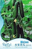 ホット販売の25pcsフルーツキュウリの種子、野菜の種子、キュウリの種子、キュウリ・メロン（Cucumis）工場ホームガーデン工場無料配送
