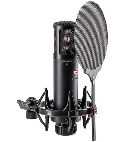 Amazon.co.jp: sE Electronics sE2200 コンデンサーマイク/指向性