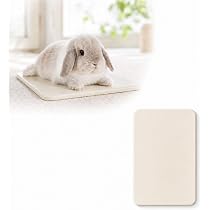 Amazon | うさぎ ひんやりプレート 陶器製 クールマット 自然ひんやり