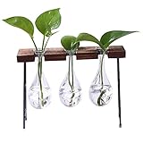 liankeshop　ドロップ型植物水耕ガラスびん　革新的　創意的な　花器　木製枠アイアンブラケット 水耕栽培 花瓶 卓上 花瓶 フラワーケース