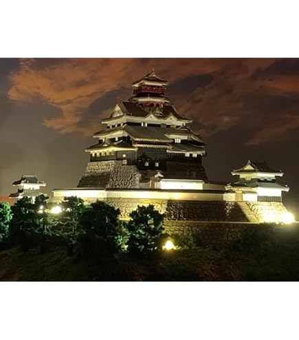 Amazon | [完成品] 犬山城 日本の名城 現存天守12城 国宝 ケース付き