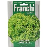 野菜の種 レタス RICCIA LOLLO 78/23