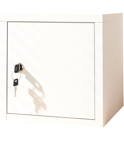 Amazon.co.jp: Zxyler 金庫 小型 家庭用 ポータブル金庫 鍵付き 防水