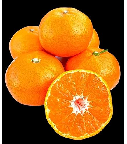 Amazon.co.jp: みかん あいか 〇等級 4L～Lサイズ 5kg 紅まどんなと同