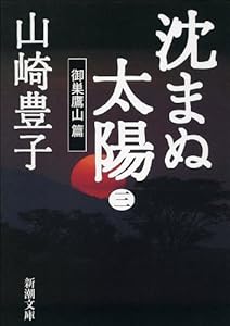 沈まぬ太陽 3巻 表紙画像