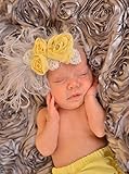 【ベビーヘアバンド】ゴージャス！！ふんわりイエローのバラのヘアバンド【ライトイエロー】★誕生日や入園入学のスタジオ撮影に！！