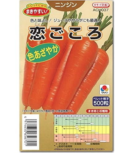 Amazon.co.jp: ニンジン 種子 恋うさぎ 250粒 コート種子 人参