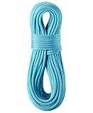 EDELRID (エーデルリッド) スポーツクライミング シングルロープ ボア 径9.8mm 40m ブルー [並行輸入品]
