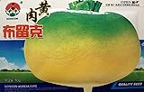オリジナルパックレア緑黄ルタバガ野菜の種、約2000シード/パッケージの10グラム、スウェーデンカブアブラナ属Napobrassica