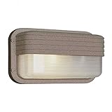 Transglobe Lighting PL-41102 RT Outdoor Bulkhead Fixture with Clear Ribbed Polycarbonate Shade, Rust