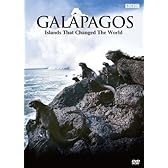 BBC ガラパゴス DVD-BOX