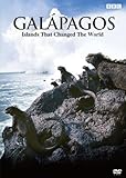 BBC ガラパゴス DVD-BOX
