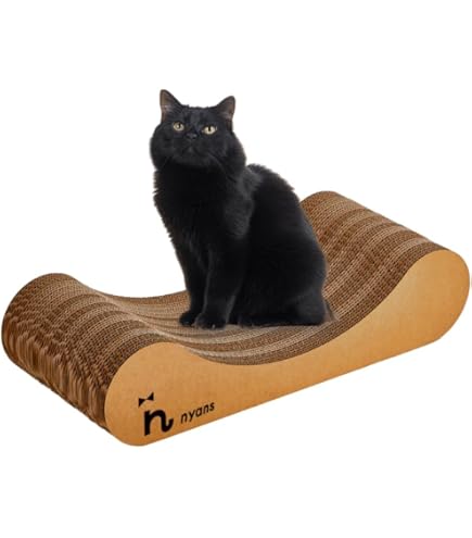 Amazon.co.jp: ぶいすぽっ 猫汰つな 2周年記念2024 フルセット