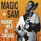 ���C���E�C���E�V�J�S�`���b�L���E���C���h