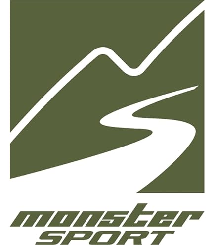 もんじゃ モンモデル 1/9 Ninja ZX-10R | バイクプラモデル - プラモデル