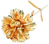 Funpa　造花　カーネーション　母の日　先生の日　記念日　24K　ゴールド　バレンタインデー　誕生日　プレゼント　ギフトボックス付き　愛を表す　箔　きれい　特別　永遠保存　枯れない