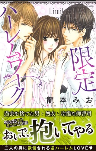 『限定ハーレムワーク』
