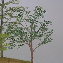 Amazon | 和巧 ジオラマアクセサリーシリーズ 1/35 メープル