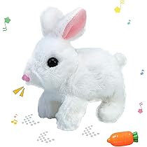 51mEpCZiLxL._AC_UL210_SR210,