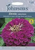 JOFL 英国ジョンソンシード Zinnia Purple Prince ジニア・パープル・プリンス