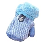 Tonsee 子供用 指なし 手袋 ガールズ ボーイズ 暖かい 手袋 大人気 可愛い グローブ (スカイブルー)
