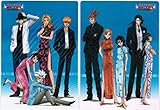 BLEACH ブリーチ 下敷き 全2種セット PSP用ソフト「BLEACH~ヒート・ザ・ソウル3~」 特典 【特典のみ】