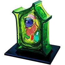 51mGHC9tAIL._AC_UL210_SR210,