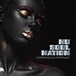 Nu Soul Nation