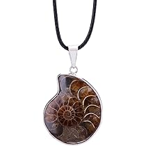 すんごい！アンモナイトのネックレスだよ！ すんごい！アンモナイトの