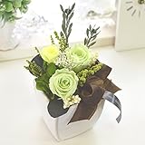 ほんのり香る100%プリザーブドフラワーアレンジ　[アロマシュシュ] (ライムグリーン)